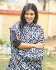 Hebah Patel 29 Beautiful Hebha Patel Pictures