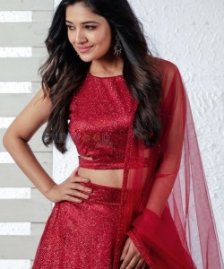 Beautiful Vani Bhojan in a Red Dress Photos 03