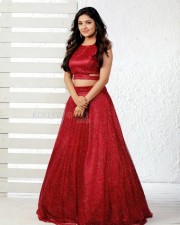 Beautiful Vani Bhojan in a Red Dress Photos 04