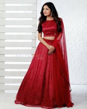 Beautiful Vani Bhojan in a Red Dress Photos 05