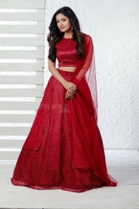 Beautiful Vani Bhojan in a Red Dress Photos 06