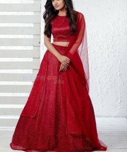 Beautiful Vani Bhojan in a Red Dress Photos 06