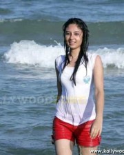 Bhanushree Mehra Hot Pic