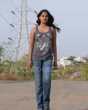 Bindu Madhavi Hot Photos