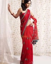 Bindu Madhavi Hot Pictures