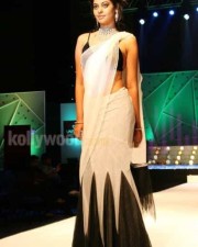 Bindu Madhavi Hot Saree Pictures
