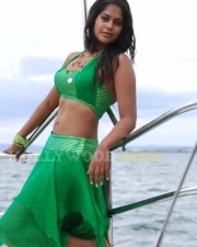 Bindu Madhavi Hot Stills