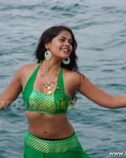 Bindu Madhavi Hot Stills