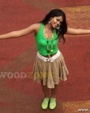 Bindu Madhavi Hot Stills