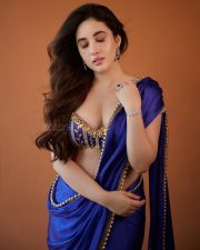 Bold Aditi Budhathoki in a Royal Blue Saree Pictures 03