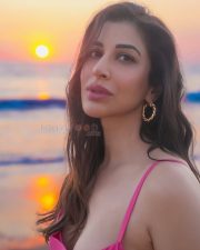 Bold Sophie Choudry in a Pink Spaghetti Strap Dress Photos 04