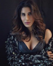 Sophie Choudry 26 Bollywood Actress Sophie Choudary Sexy Photoshoot Pictures