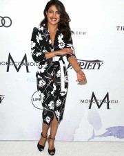 Bollywood Beauty Priyanka Chopra Photos