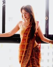 Captivating Actress Himani Sharma in a Red and Gold Brocade Outfit Photos 04