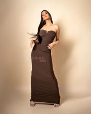 Coolie Actress Shruti Haasan in a deep brown strapless crop top photos 05