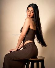 Coolie Actress Shruti Haasan in a deep brown strapless crop top photos 12
