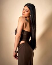 Coolie Actress Shruti Haasan in a deep brown strapless crop top photos 13