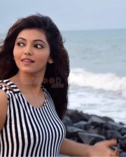 Athulya Ravi 29 Cute Actress Athulya Ravi Photo Shoot Pictures