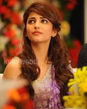 Cute Sexy Actress Shruthi Hassan Saree Photos