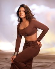 Dusky Beauty Eesha Rebba in a Stylish Brown Two Piece Dress Photos 01