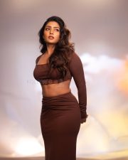 Dusky Beauty Eesha Rebba in a Stylish Brown Two Piece Dress Photos 03