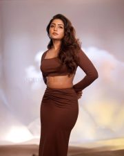 Dusky Beauty Eesha Rebba in a Stylish Brown Two Piece Dress Photos 04