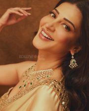 Elegant Actress Shruti Haasan in a Golden Embellished Saree Photos 02