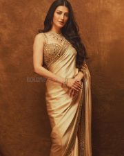 Elegant Actress Shruti Haasan in a Golden Embellished Saree Photos 03