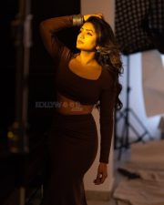 Glamorous Eesha Rebba in a Brown Two Piece Square Neck Long Sleeve Crop Top and Long Skirt Photos 02