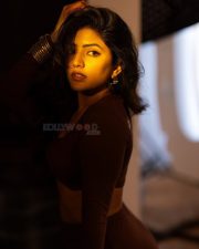 Glamorous Eesha Rebba in a Brown Two Piece Square Neck Long Sleeve Crop Top and Long Skirt Photos 03