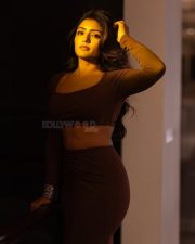 Glamorous Eesha Rebba in a Brown Two Piece Square Neck Long Sleeve Crop Top and Long Skirt Photos 06