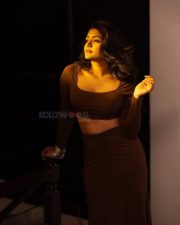 Glamorous Eesha Rebba in a Brown Two Piece Square Neck Long Sleeve Crop Top and Long Skirt Photos 07