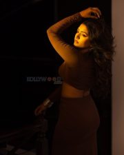 Glamorous Eesha Rebba in a Brown Two Piece Square Neck Long Sleeve Crop Top and Long Skirt Photos 08