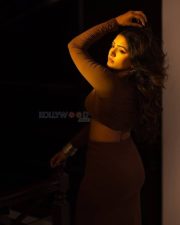 Glamorous Eesha Rebba in a Brown Two Piece Square Neck Long Sleeve Crop Top and Long Skirt Photos 08 Glamorous Eesha Rebba in a Brown Two Piece Square Neck Long Sleeve Crop Top and Long Skirt Photos 08