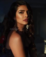 Hollywood Actress Priyanka Chopra Photos 02