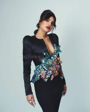 Hollywood Actress Priyanka Chopra Photos 03