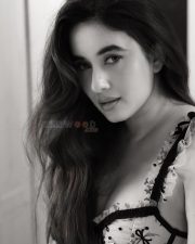 Hot Aditi Budhathoki in a Mesh Lingerie Top Black and White Portrait Pictures 03