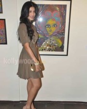 Hot And Sexy Shruti Hassan Pictures
