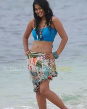 Hot Bindhu Madhavi Sexy Pics