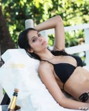 Hot Bruna Abdullah In Billa Movie Photos