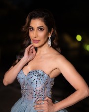 Hot Sophie Choudry in a Gray Gown Photos 01