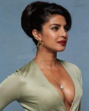 Indian American Actress Priyanka Chopra Sexy Photos 45