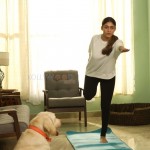 Nayanthara 17 Lady Superstar Nayanthara in Netrikanna Movie Pictures