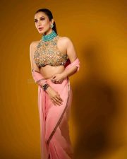 Love Sex Aur Dhokha 2 Actress Sophie Choudry in a Blush Pink Pink Georgette Saree with an Embellished Sleeveless High Neck Blouse Photos 01