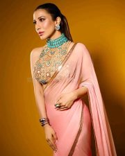 Love Sex Aur Dhokha 2 Actress Sophie Choudry in a Blush Pink Pink Georgette Saree with an Embellished Sleeveless High Neck Blouse Photos 02