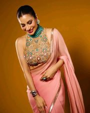 Love Sex Aur Dhokha 2 Actress Sophie Choudry in a Blush Pink Pink Georgette Saree with an Embellished Sleeveless High Neck Blouse Photos 03