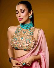 Love Sex Aur Dhokha 2 Actress Sophie Choudry in a Blush Pink Pink Georgette Saree with an Embellished Sleeveless High Neck Blouse Photos 04