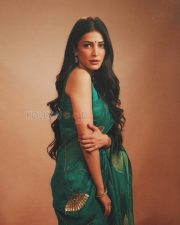 Luminous Actress Shruti Haasan in a Teal Green Embroidered Organza Saree with Gold Peacock Motif Photos 03
