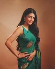 Luminous Actress Shruti Haasan in a Teal Green Embroidered Organza Saree with Gold Peacock Motif Photos 05