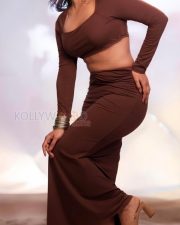 Mesmerising Eesha Rebba in a Stylish Brown Crop Top and Skirt Pictures 04